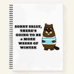 Cuaderno Lo siento Sally, 6 semanas más de invierno