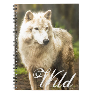 Cuaderno Lobo Ártico húmedo en foto de primavera