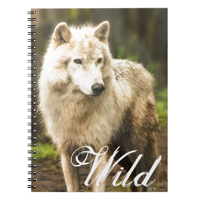 Cuaderno Lobo Ártico húmedo en foto de primavera (Frente)