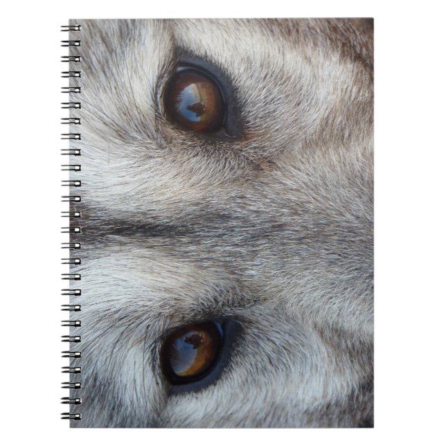 Cuaderno Lobo de papel portátil Husky / Lobo regalos y libr (Frente)