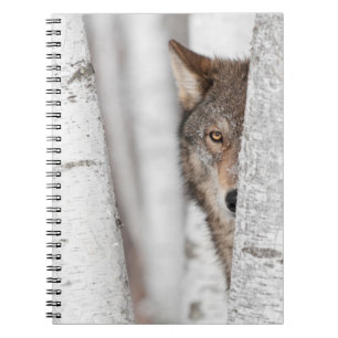 Cuaderno Lobo gris (lupus de Canis) detrás del árbol