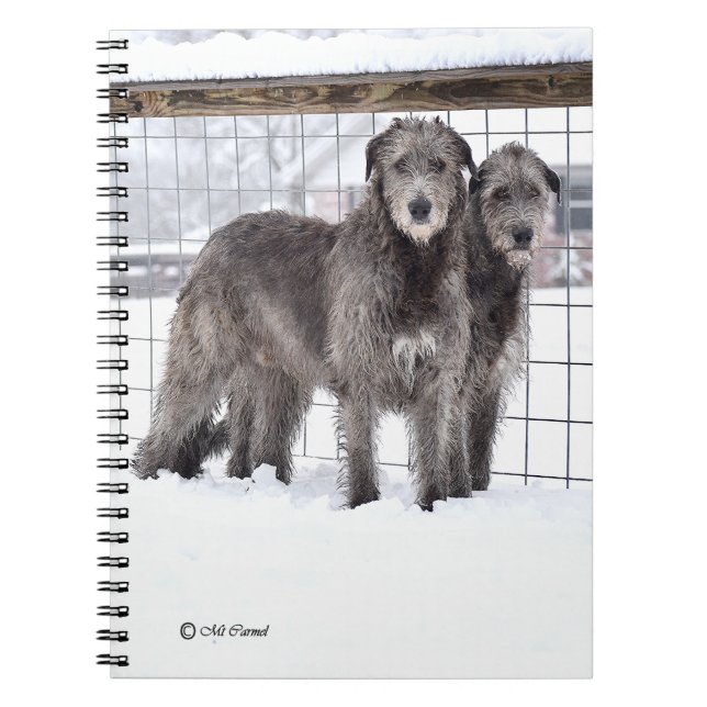 Cuaderno Lobos irlandeses en la nieve (Frente)