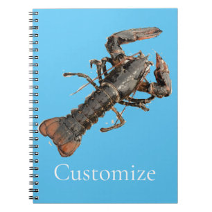 Cuaderno Lobster de Maine fresco Thunder_Cove