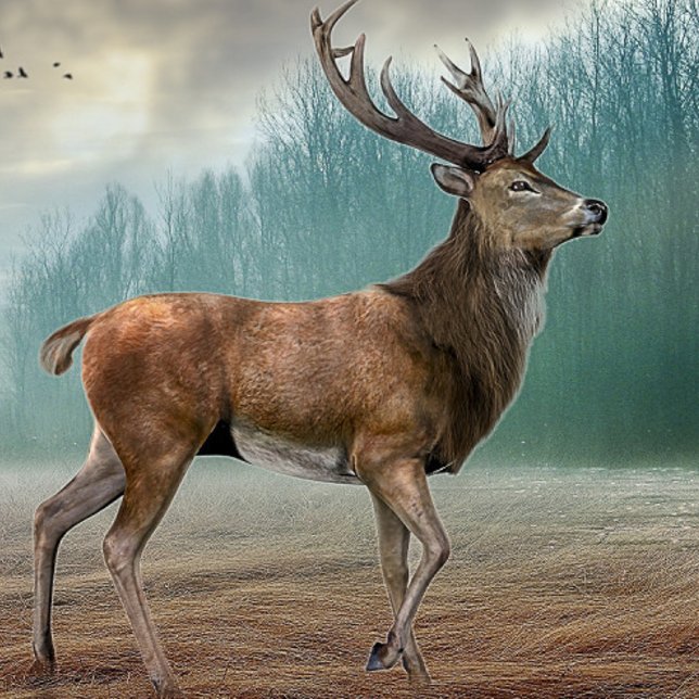 Cuaderno Lone Deer In Misty Forest (Subido por el creador)