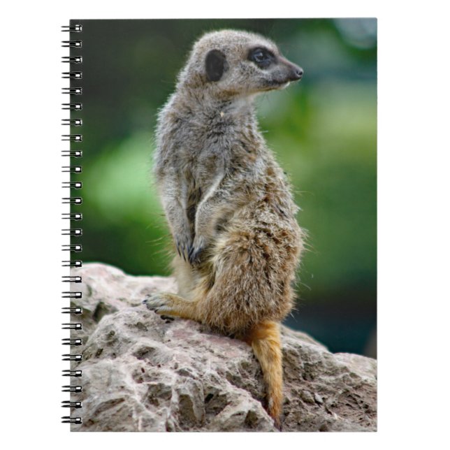 Cuaderno Lone Meerkat Notebook (Frente)
