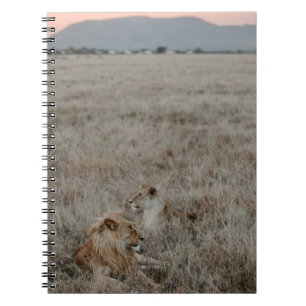 CUADERNO LONES EN EL CAMPO DE GRASA MARRÓN DURANTE EL DÍA