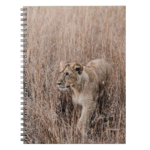 CUADERNO LONES GRIS Y MARRONES RODEADOS DE GRASA MARRÓN