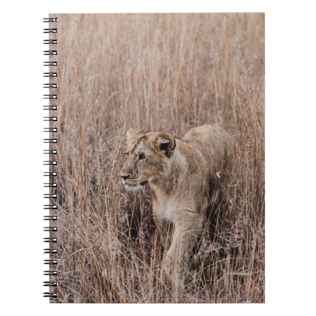 CUADERNO LONES GRIS Y MARRONES RODEADOS DE GRASA MARRÓN (Frente)