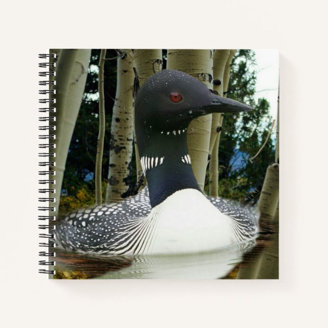 Cuaderno Loon Wilderness (Anverso)