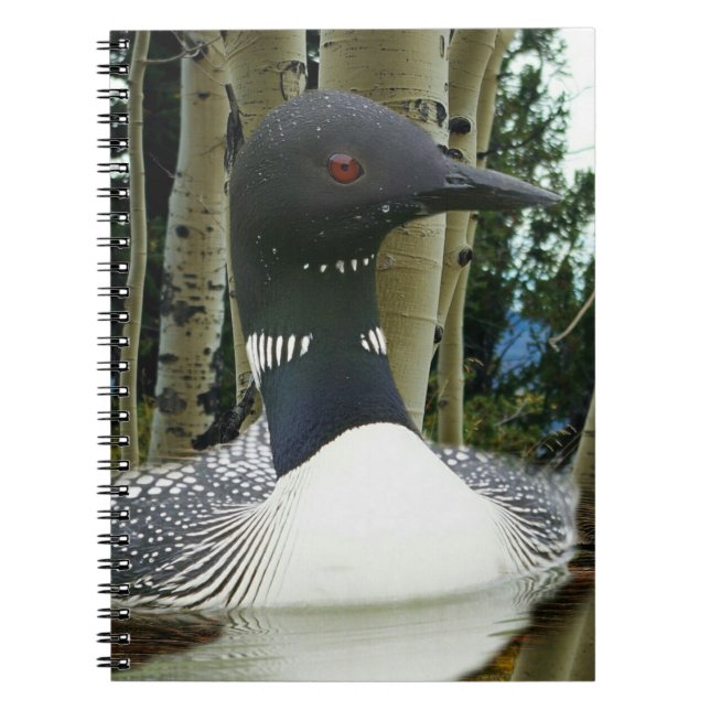 Cuaderno Loon Wilderness (Frente)