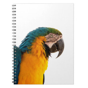 Cuaderno Lora guacamayo  