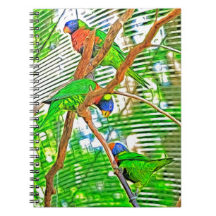 Cuaderno Loris colorido en una rama - loros
