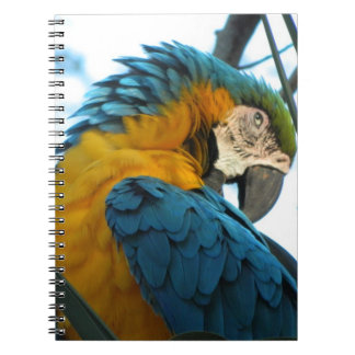 Cuaderno Loro