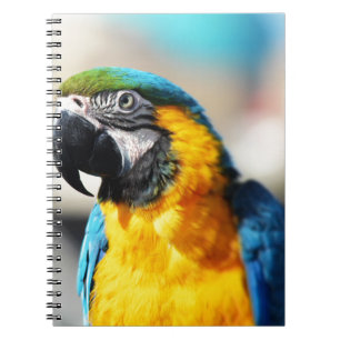 Cuaderno loro