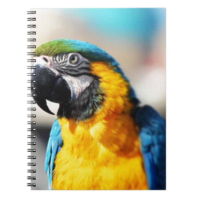 Cuaderno loro (Frente)