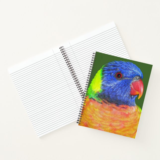Cuaderno Loro Arcoíris Colorido (Interior)