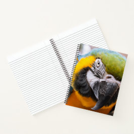 Cuaderno Loro de macao verde, azul y amarillo