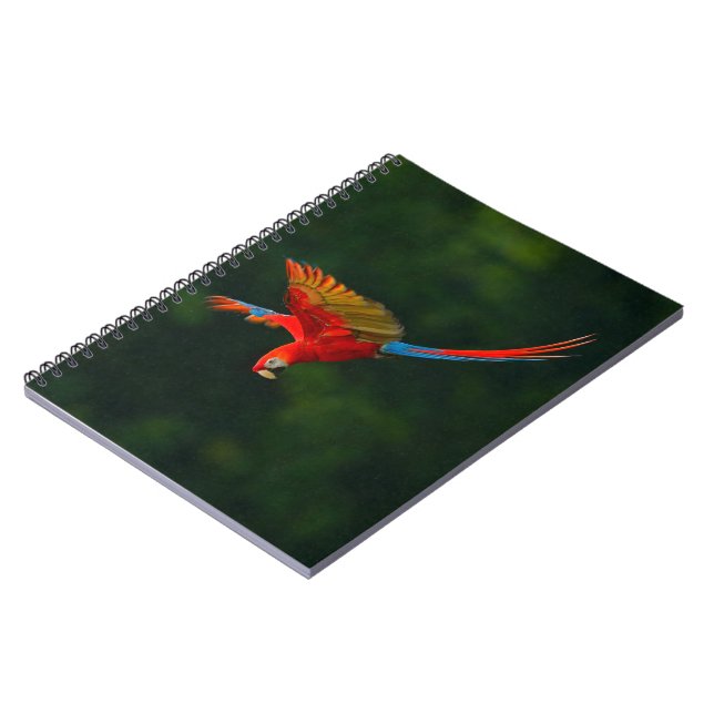 Cuaderno Loro en vuelo (Lado Izquierdo)