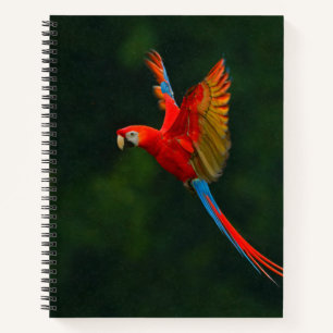 Cuaderno Loro en vuelo