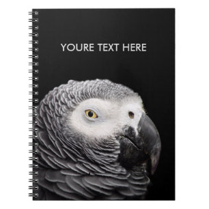 Cuaderno Loro gris africano