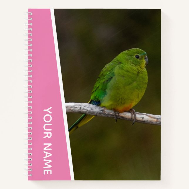 Cuaderno Loro raro de vientre naranja, Australia, Rosa (Anverso)