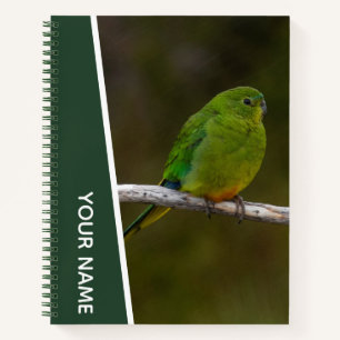 Cuaderno Loro raro de vientre naranja, Ave Australia, Verde