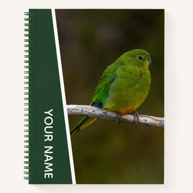 Cuaderno Loro raro de vientre naranja, Ave Australia, Verde (Anverso)