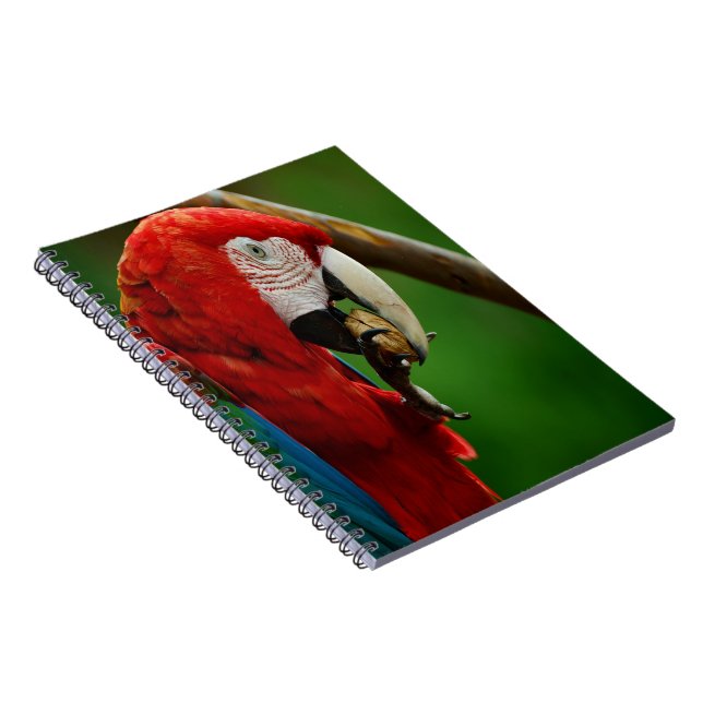 Cuaderno Loro Rojo Tropical (Lado Derecho)