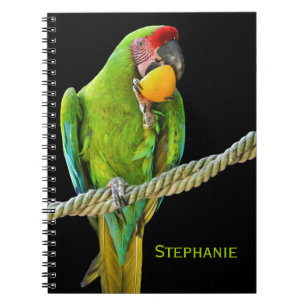 Cuaderno Loro Verde Ara Militaris
