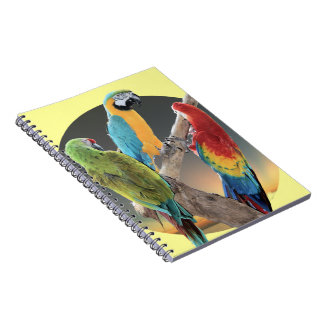 Cuaderno Loros del Macaw