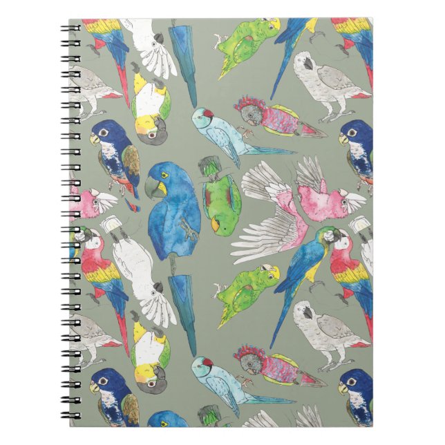 Cuaderno Loros y 'Toos (Frente)