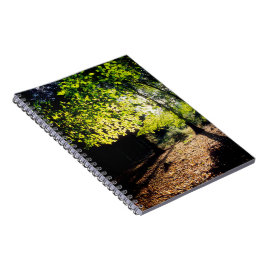 Cuaderno Los bosques en primavera