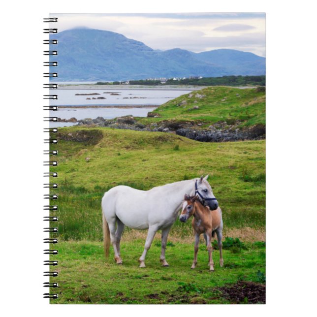 Cuaderno Los caballos de Connemara | Galway, Irlanda (Frente)