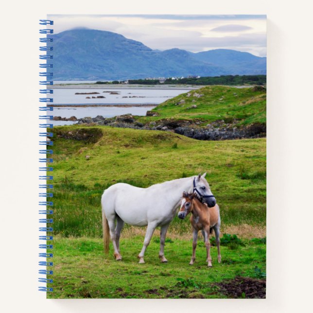 Cuaderno Los caballos de Connemara | Galway, Irlanda (Anverso)