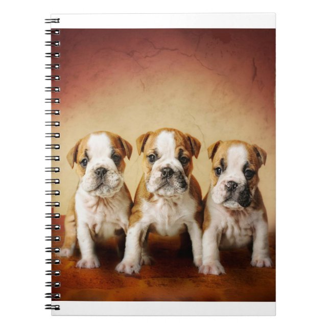 Cuaderno Los cachorros de Bulldog inglés son muy amables (Frente)