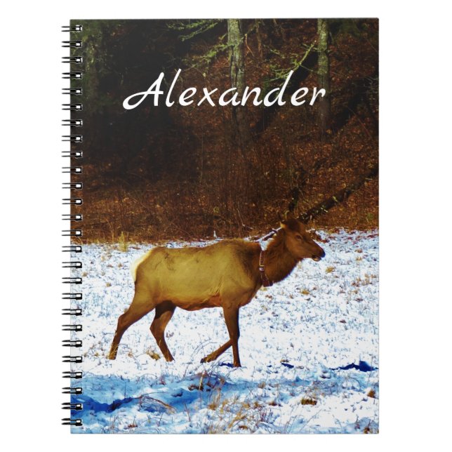 Cuaderno Los cazadores dan alce en la nieve (Frente)