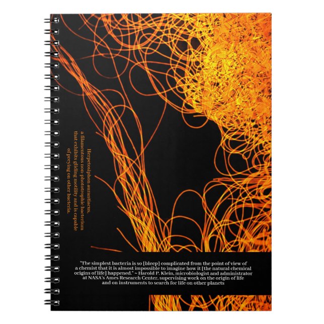 Cuaderno Los científicos dicen... Cita de Klein y Bacterio (Frente)