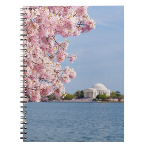 Cuaderno Los E.E.U.U., Washington DC, cerezo