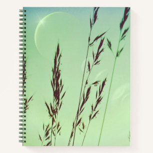 Cuaderno Los frontales verdes dejan la luna fases del cielo