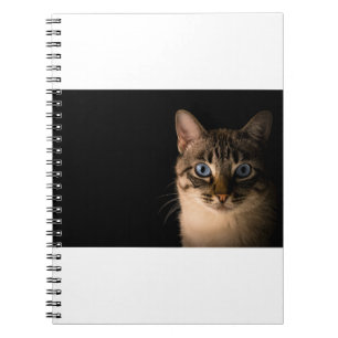 Cuaderno Los Gatos Son Los Mejores 20