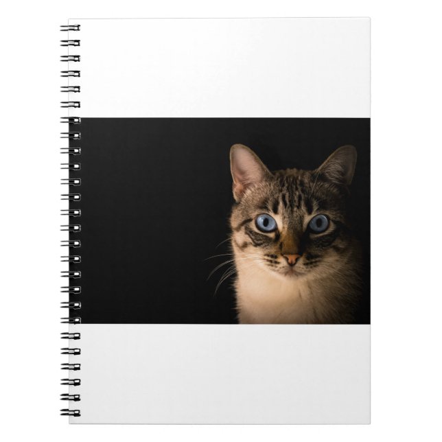 Cuaderno Los Gatos Son Los Mejores 20 (Frente)