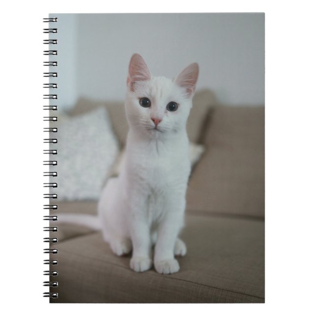 Cuaderno Los Gatos Son Los Mejores 42 (Frente)