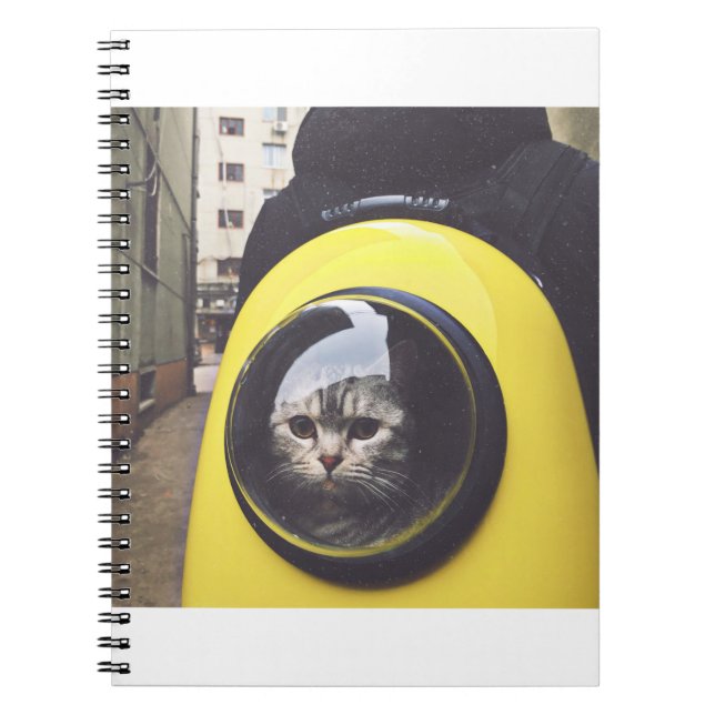 Cuaderno Los Gatos Son Los Mejores 45 (Frente)