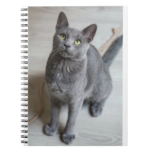 Cuaderno Los Gatos Son Los Mejores 57 (Frente)