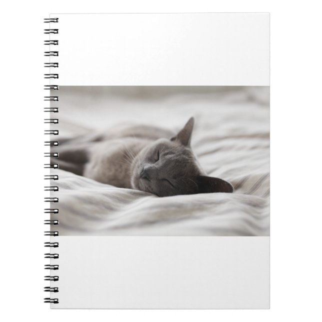 Cuaderno Los Gatos Son Los Mejores 66 (Frente)