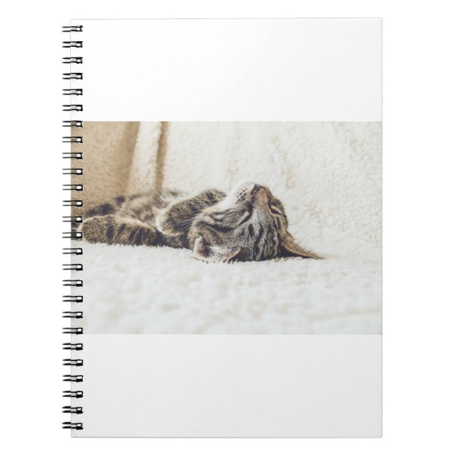 Cuaderno Los Gatos Son Los Mejores 88 (Frente)