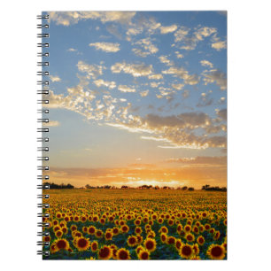 Cuaderno Los girasoles al atardecer