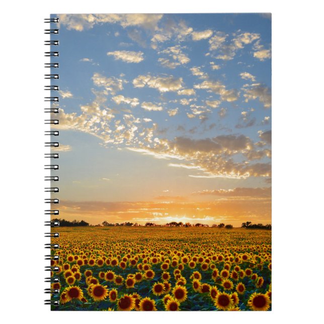 Cuaderno Los girasoles al atardecer (Frente)