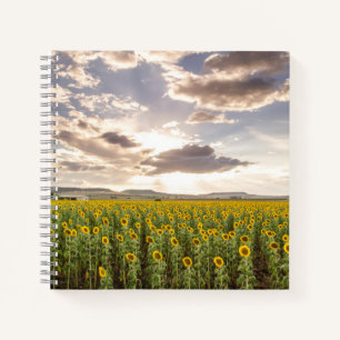 Cuaderno Los girasoles al atardecer