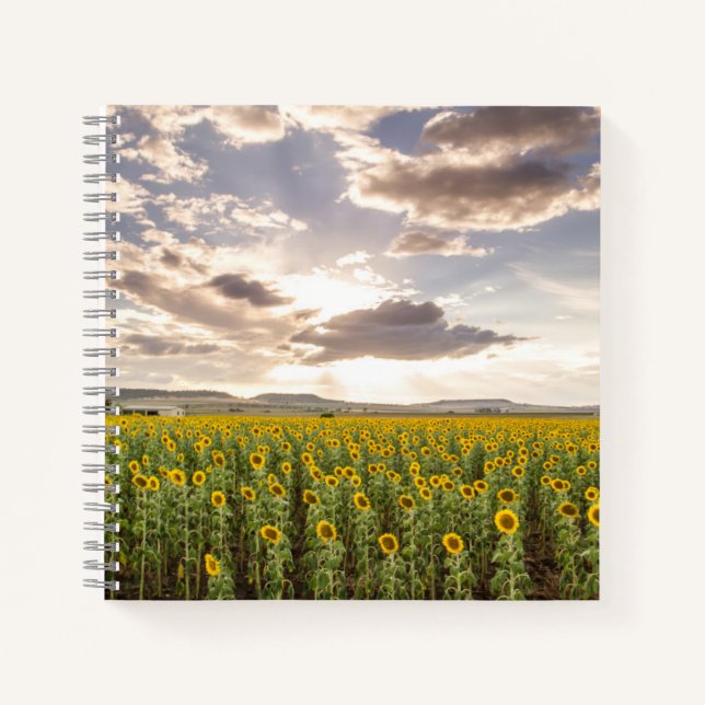 Cuaderno Los girasoles al atardecer (Anverso)